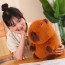 Brown Capybara Plush Toy 25cm 9.8inches