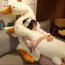 Goose Plush Toy