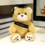 Light Brown Graduation Bear with Congrats Sash Soft Stuffed Plush 25cm 9.84inches Blue Red Black
