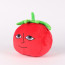 Mr TomatoS Plush Toy