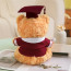 Light Brown Graduation Bear with Robe Soft Stuffed Plush 25cm 9.84inches Blue Black Red