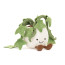 Jellycat Amuseables Ivy Soft Stuffed Plush 16cm 6.3inches