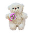 Valentines Bear Plush With Pink Bouquet 20cm 7.8inches